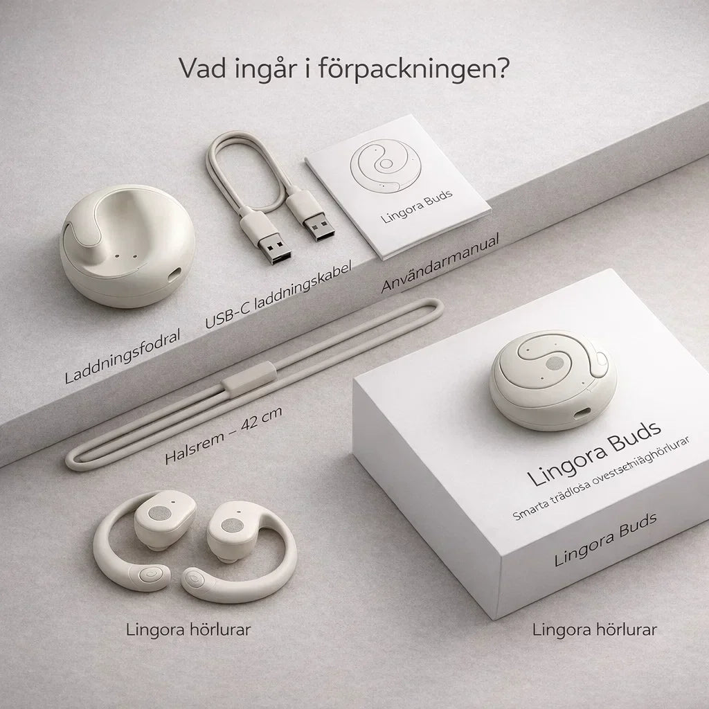 Lingora – Förstå varandra direkt, utan språkbarriärer