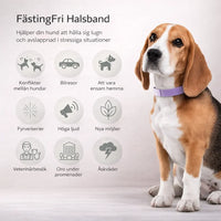 FästingFri – Skydd som håller din hund trygg utomhus